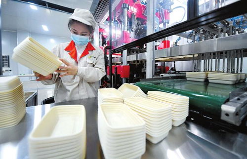 河北武安市工業(yè)園區(qū)環(huán)保企業(yè)一派繁忙景象