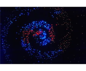 季花產(chǎn)品與環(huán)保科技 裝修效果、店鋪展示與渠道商機全解析