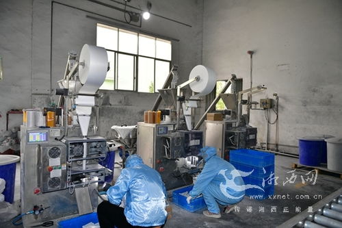 新聞報道 湘西網 新聞頻道