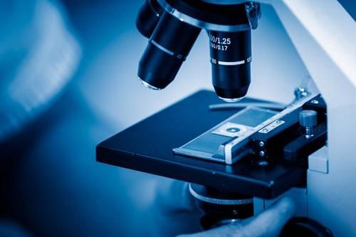 福建省生物科技公司優秀企業推薦
