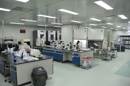企業 拔節開花 蘭州戰略性新興產業占比不斷提高